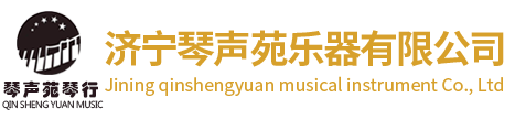 濟寧琴聲苑樂器有限公司